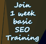 Basic SEO Training