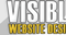 website design